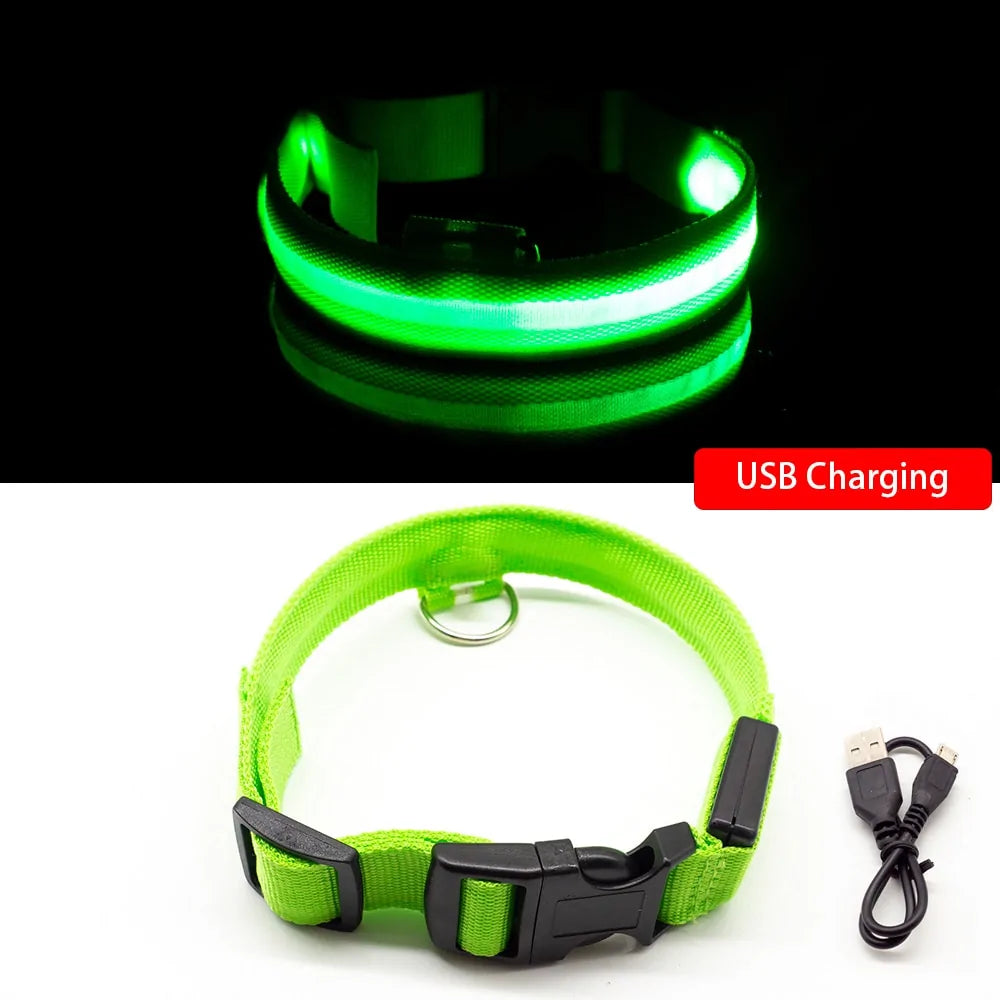 USB Charging LED Dog Collar