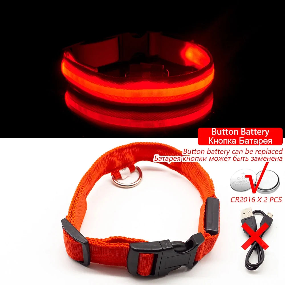 USB Charging LED Dog Collar