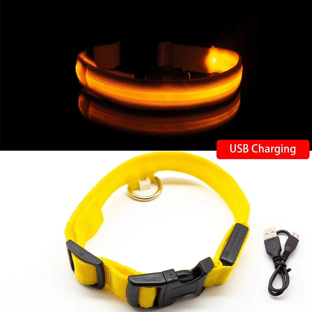 USB Charging LED Dog Collar